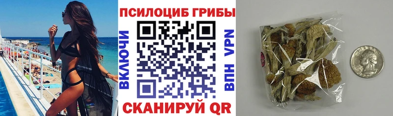 как найти закладки  Динская  Псилоцибиновые грибы мухоморы 